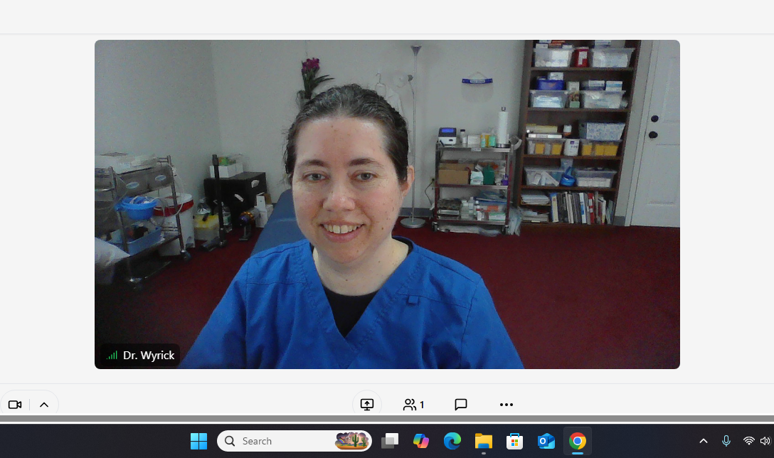 computer screen shot of smiling doctor and her office 